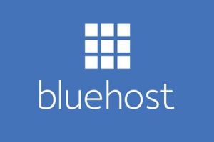 2017年Bluehost迎春“惠”强力来袭