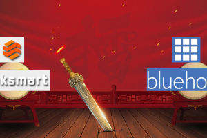 两大美国服务器BlueHost 与 RAKsmart速度对比评测