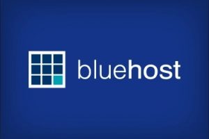BlueHost香港主机的选择