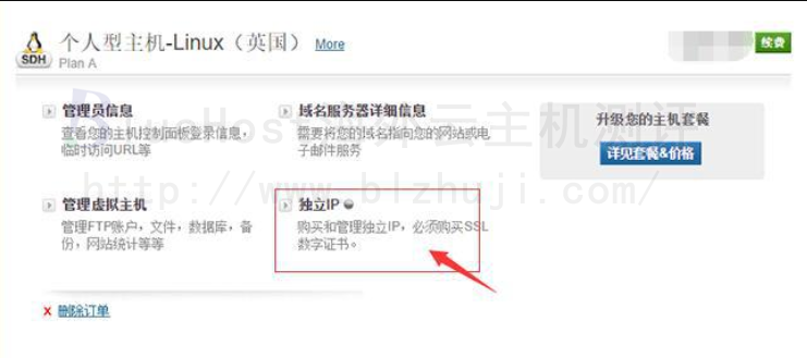 选择独立IP