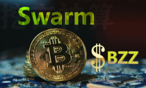 Swarm挖矿服务器配置推荐
