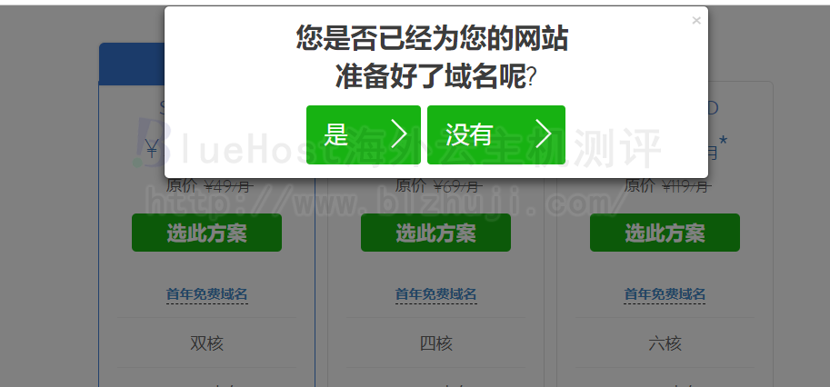 选择BlueHost之前是否有域名