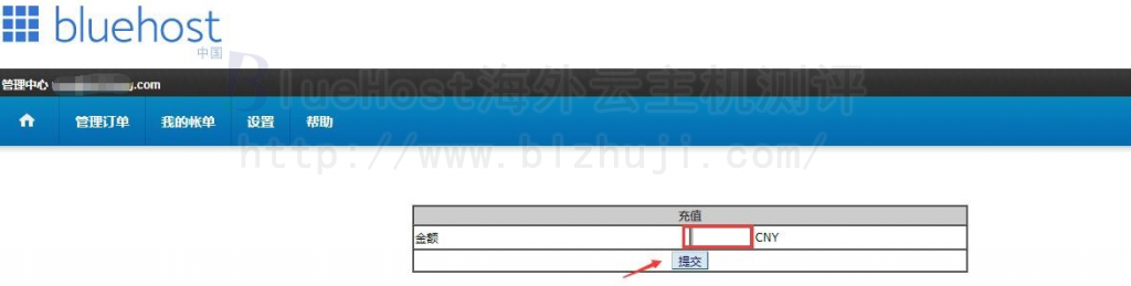 输入需要充值的金额