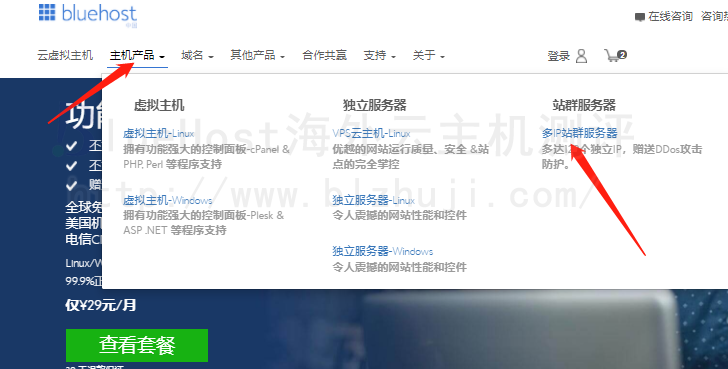 找到“站群服务器”点击进去