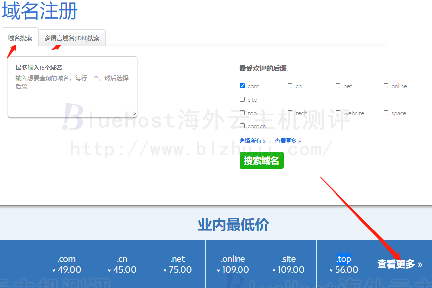 BlueHost优质域名