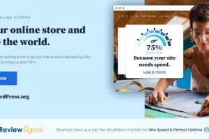 BlueHost WooCommerce在线商店工具